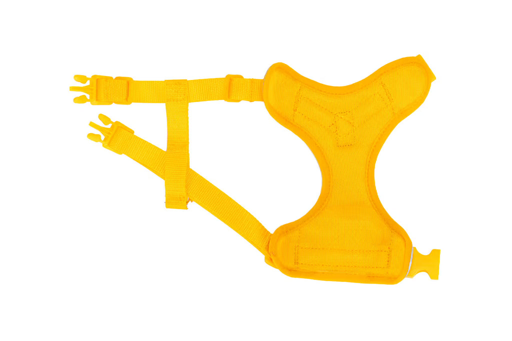 Rc Pets Adventure Kitty Harness Teal Large