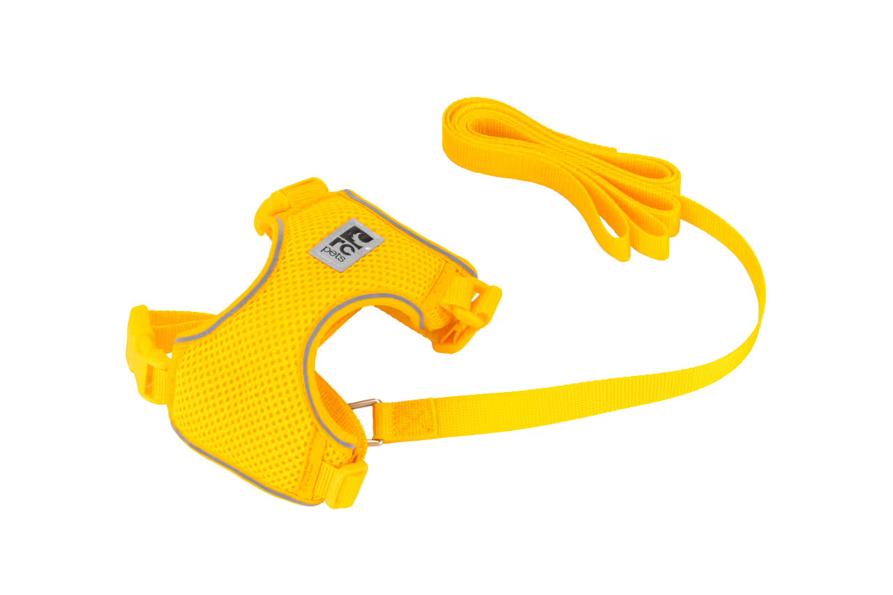 Rc Pets Adventure Kitty Harness Black Large