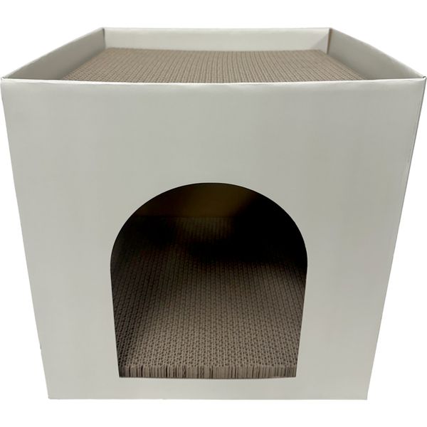 Bad Kitty Box Shape Cardboard Scratcher