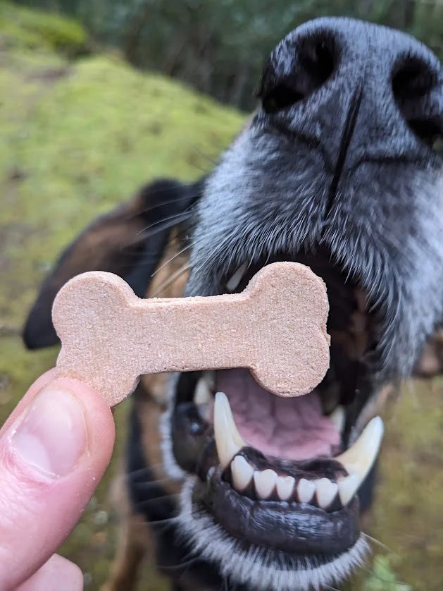 Big Bark Bakery Apple Pie 4.5oz