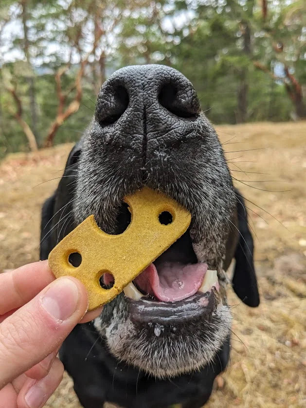 Big Bark Bakery Cheddar Cheese 4.5oz