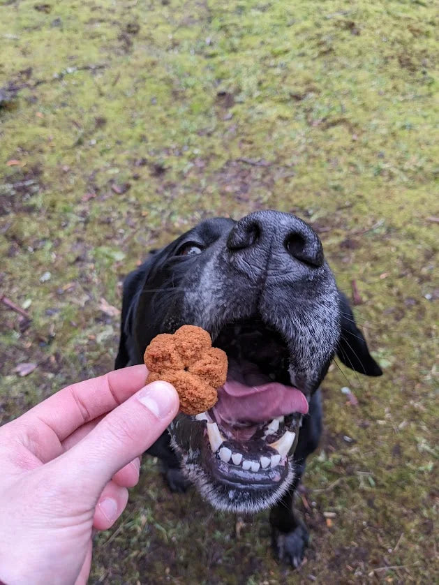 Big Bark Bakery The Old Fashion Grain Free 4oz