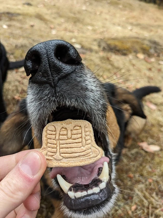 Big Bark Bakery Buttermilk Pancakes 4.5oz