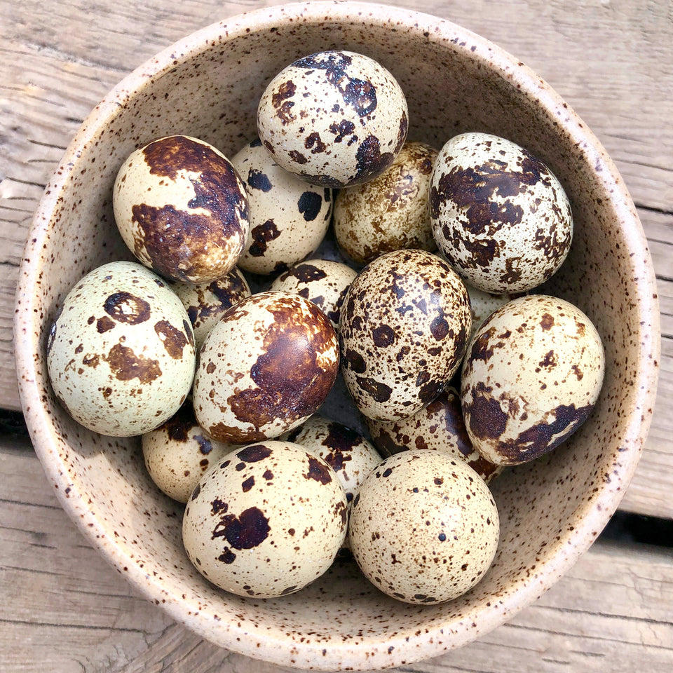 Big Country Raw Quail Eggs 18Pk