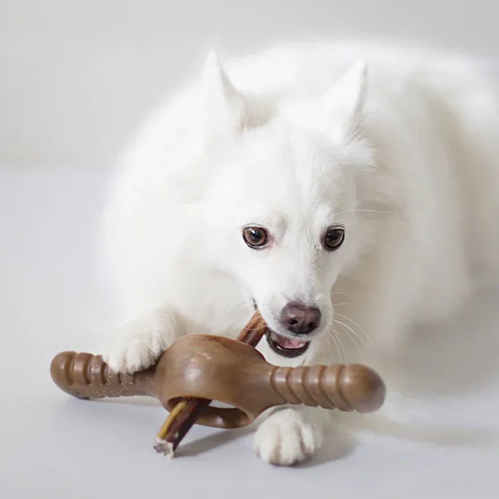 Benebone Pawplexer Bacon Medium