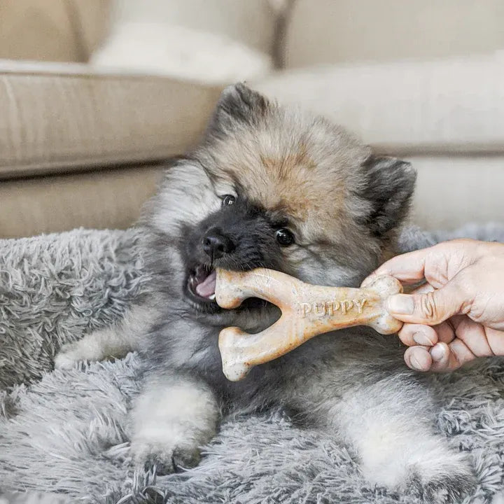 Benebone Puppy Dental Chew & Wishbone Bacon Tiny 2Pk