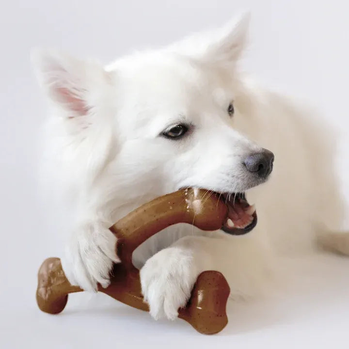 Benebone Wishbone Bacon Chew Medium