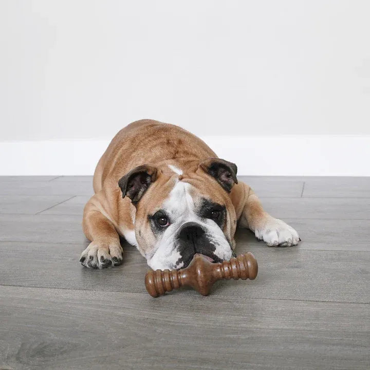 Benebone Zaggler Bacon Small
