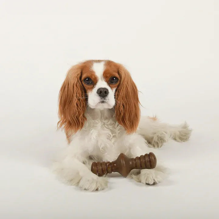 Benebone Zaggler Bacon Small