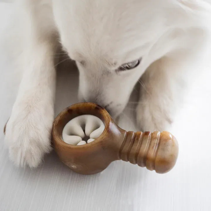 Benebone Pawplexer Bacon Small