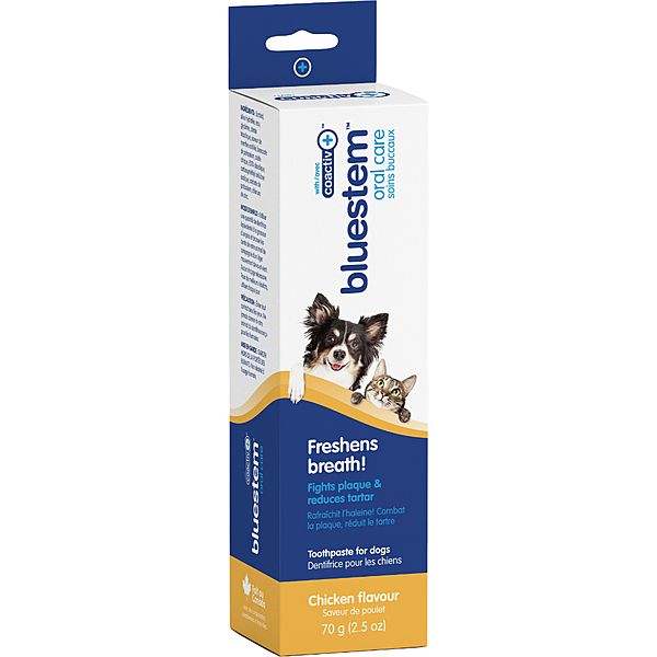 Bluestem Toothpaste For Dogs & Cats Chicken Flavour 70G