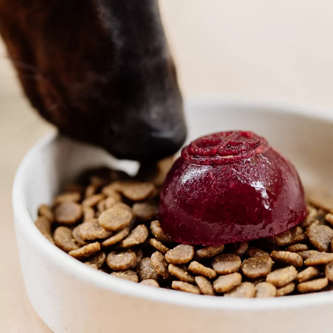 Faim Museau Frozen Berry Delight 6/30G