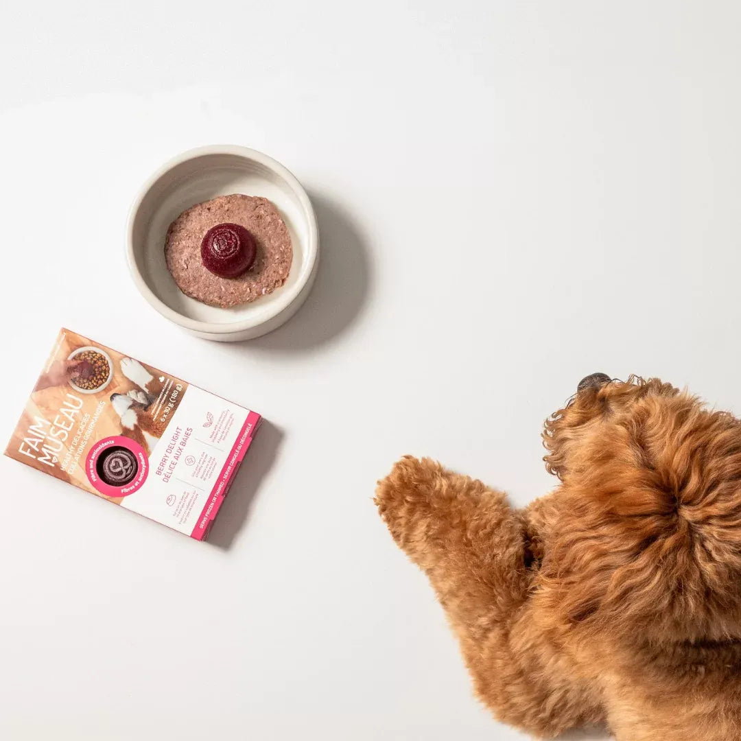 Faim Museau Frozen Berry Delight 6/30G