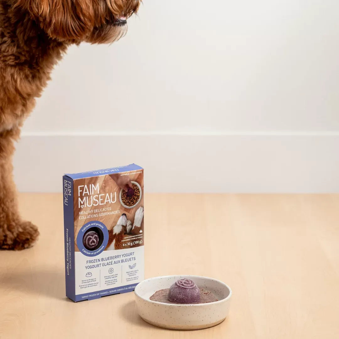 Faim Museau Frozen Blueberry Yogurt 6/30G