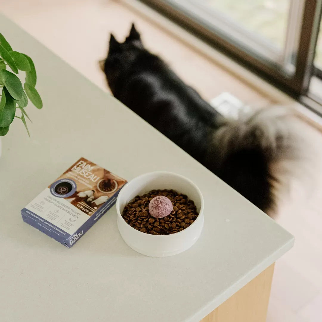 Faim Museau Frozen Blueberry Yogurt 6/30G