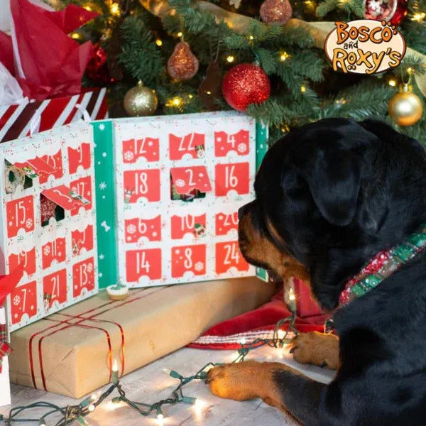 Bosco & Roxy'S Bark The Halls Musical Advent Calendar 2024