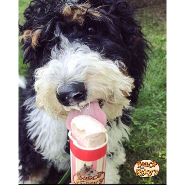 Bosco & Roxy's Frozen Yogurrrz Strawberry Banana Flavour 2.8Oz/80G