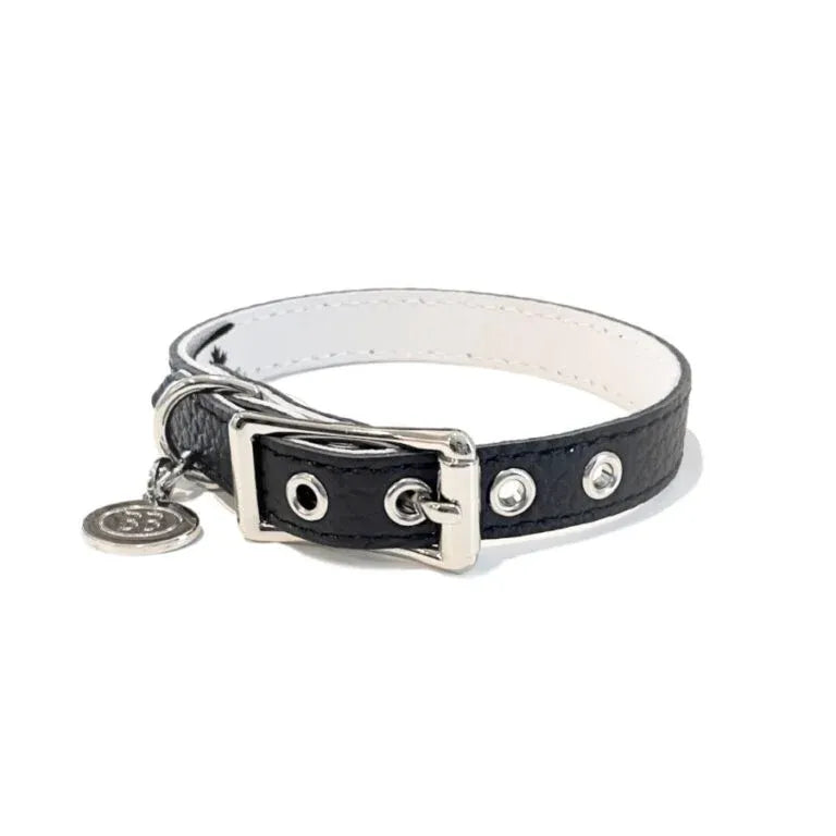 Buddy Belt Collar Black  8"-10" x 1/2"