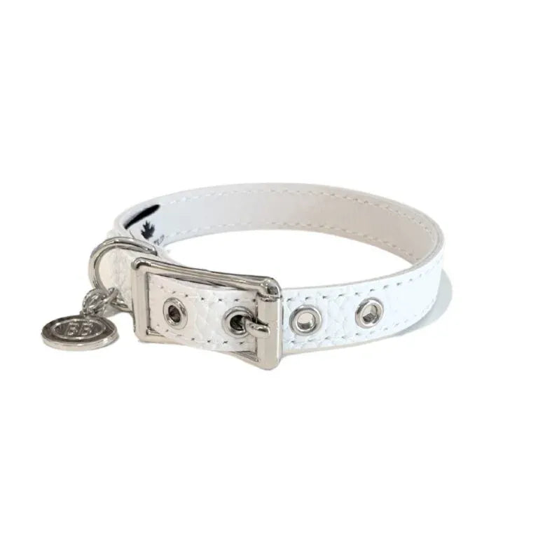Buddy Belt Collar Whitecap 10"-12" x 1/2"