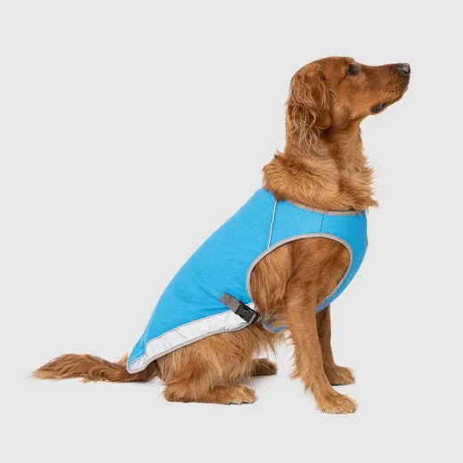 Canada Pooch Chill Seeker Cooling Vest Blue 26