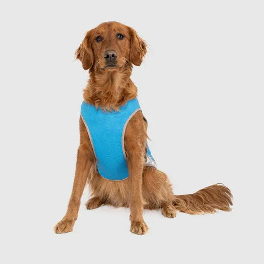 Canada Pooch Chill Seeker Cooling Vest Blue 26