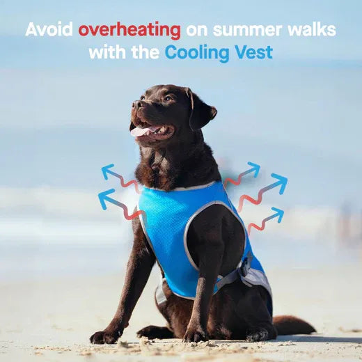 Canada Pooch Chill Seeker Cooling Vest Blue 26