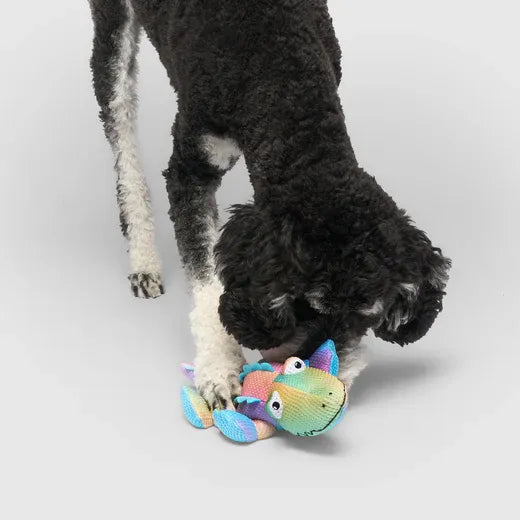 Canada Pooch Freeze & Chill Cooling Pals Rainbow Crocodile