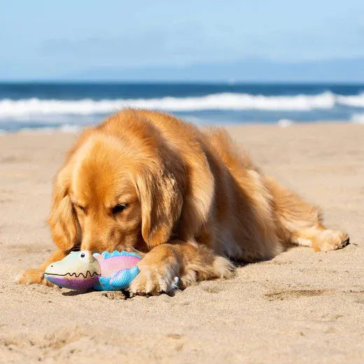Canada Pooch Freeze & Chill Cooling Pals Rainbow Crocodile