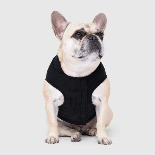 Canada Pooch The Ultimate Stretch Vest Black Size 12