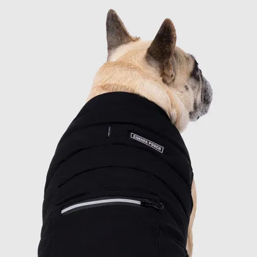 Canada Pooch The Ultimate Stretch Vest Black Size 12