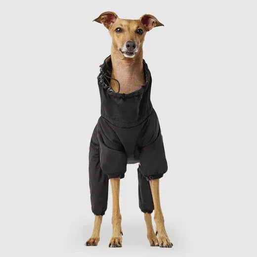 Canada Pooch The Snow Suit Size 18