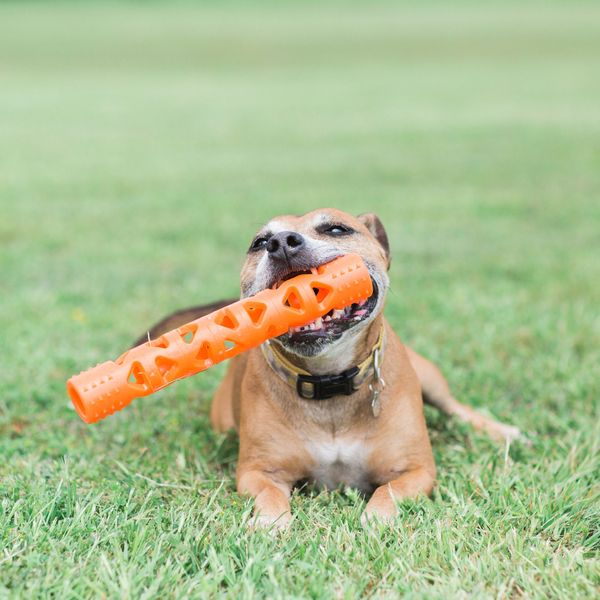 Chuckit! Air Fetch Stick Large
