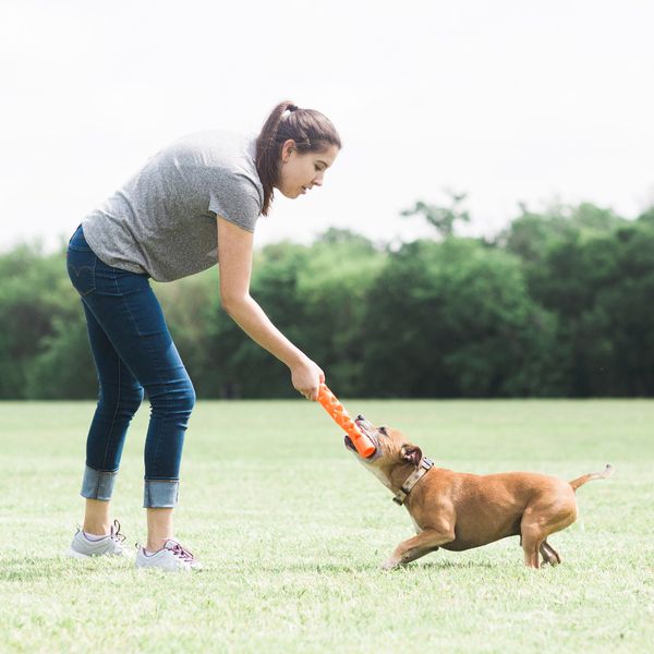 Chuckit! Air Fetch Stick Large