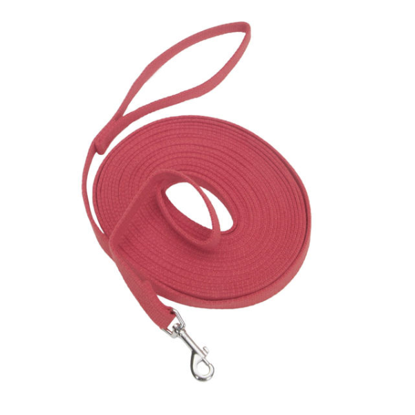Coastal Train Right! Cotton Web Training Leash 30'