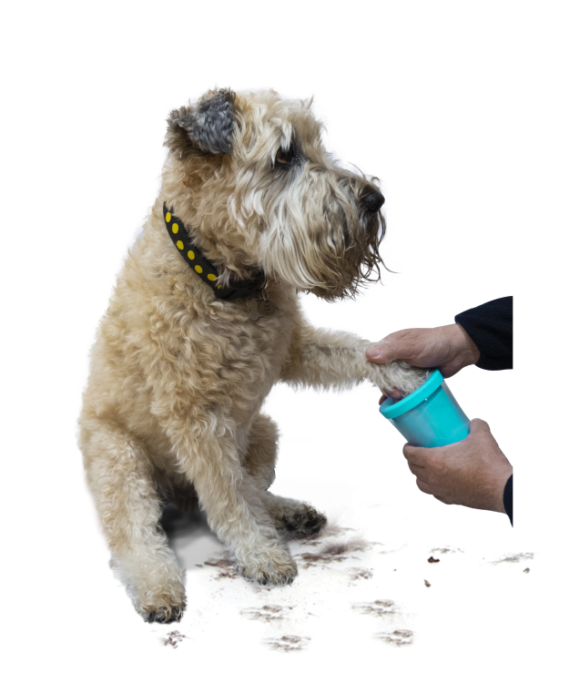 Companion Gear Paw Cleaner
