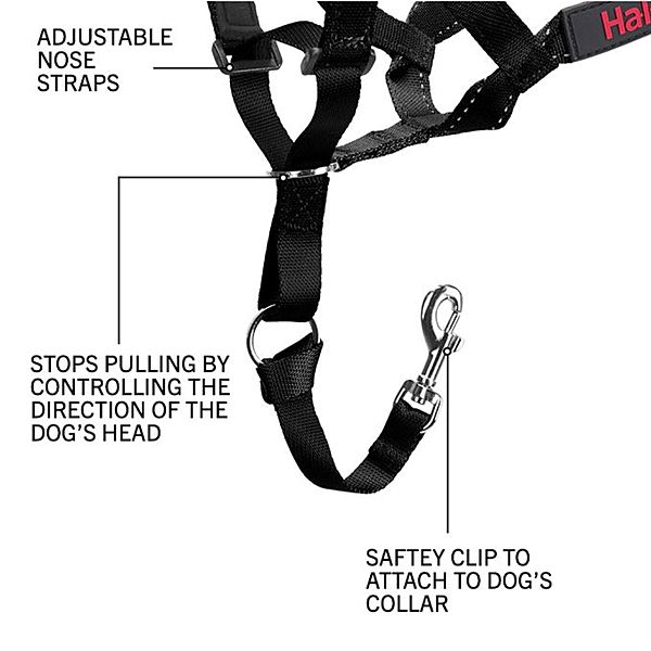 Company Of Animals Halti Nylon Head Collar Black Size 0