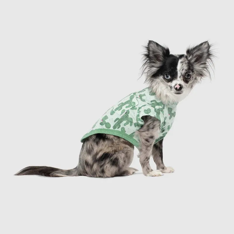 Canada Pooch Follow Me Tee Cactus Size 20