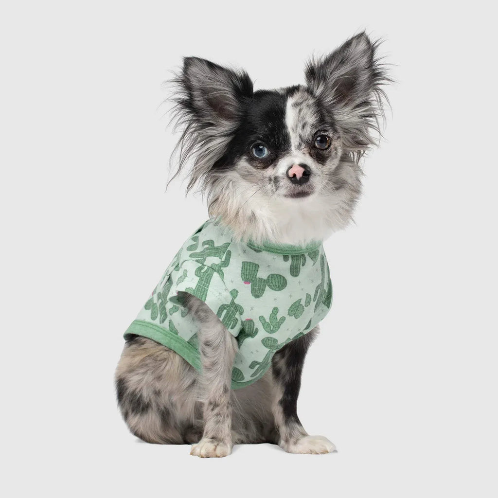 Canada Pooch Follow Me Tee Cactus Size 20