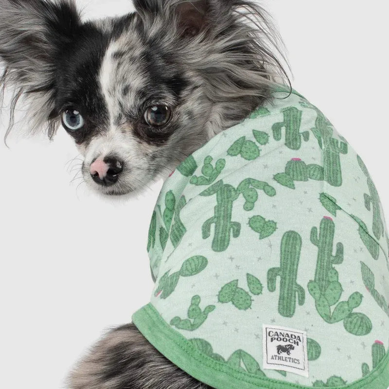 Canada Pooch Follow Me Tee Cactus Size 20