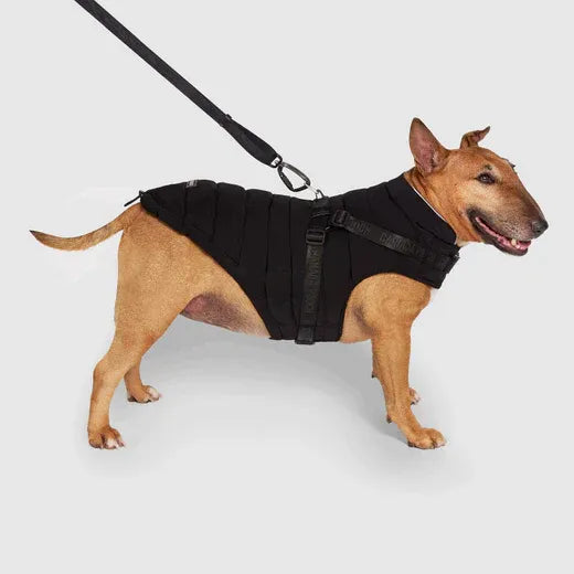 Canada Pooch The Harness Puffer 10