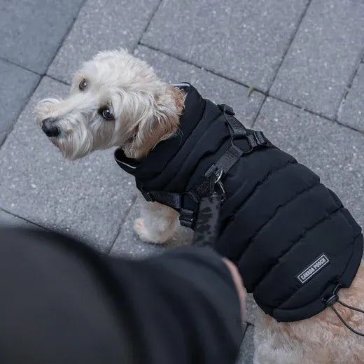 Canada Pooch The Harness Puffer 10