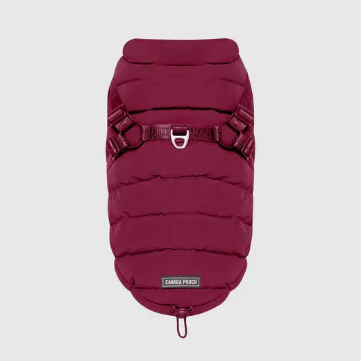 Canada Pooch The Harness Puffer Plum 14