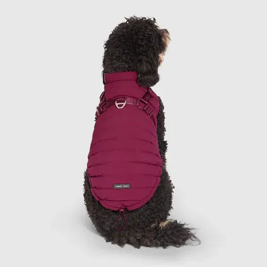 Canada Pooch The Harness Puffer Plum 14
