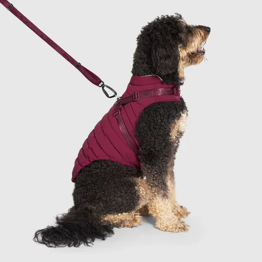 Canada Pooch The Harness Puffer Plum 14