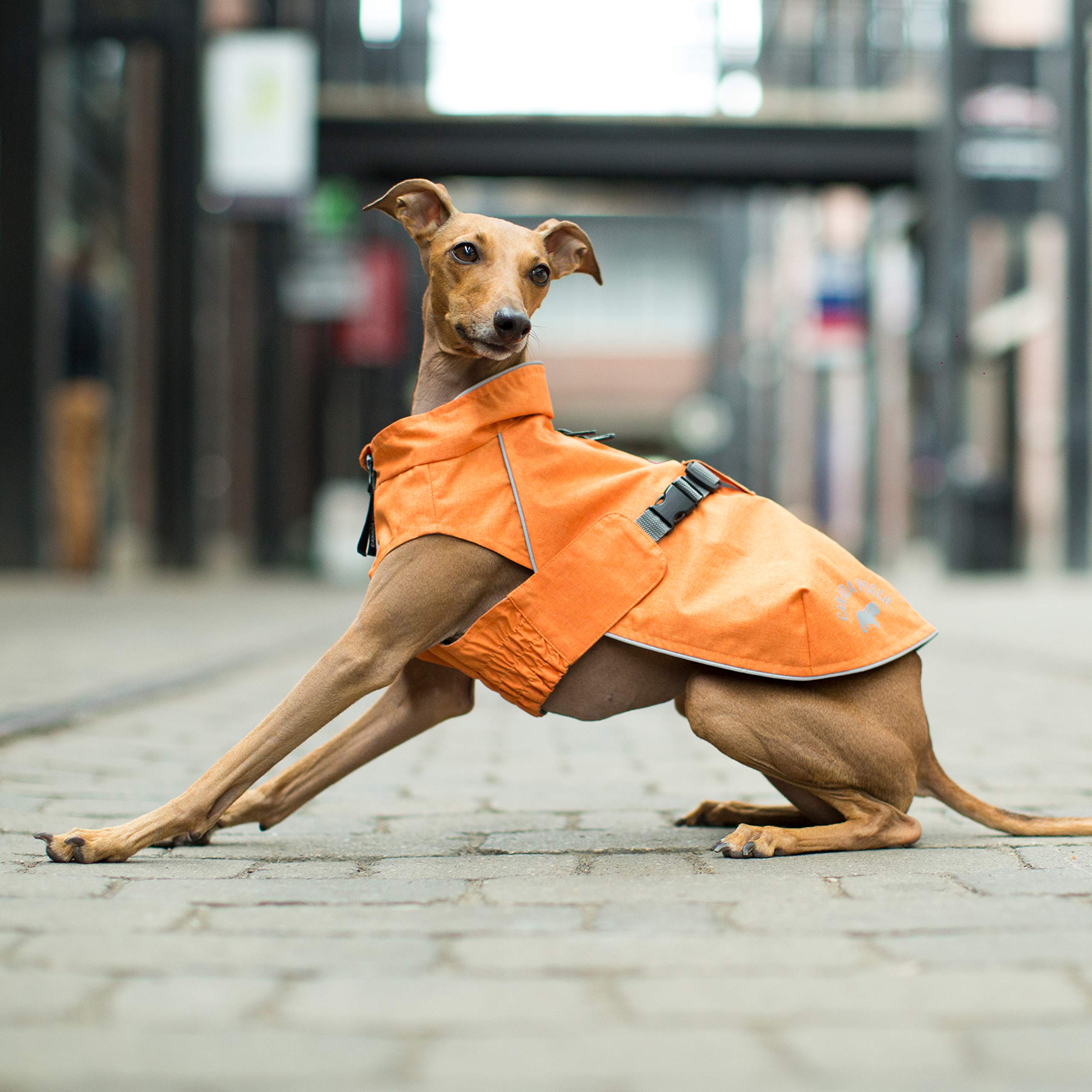 Canada Pooch Expedition Raincoat Orange Size 18