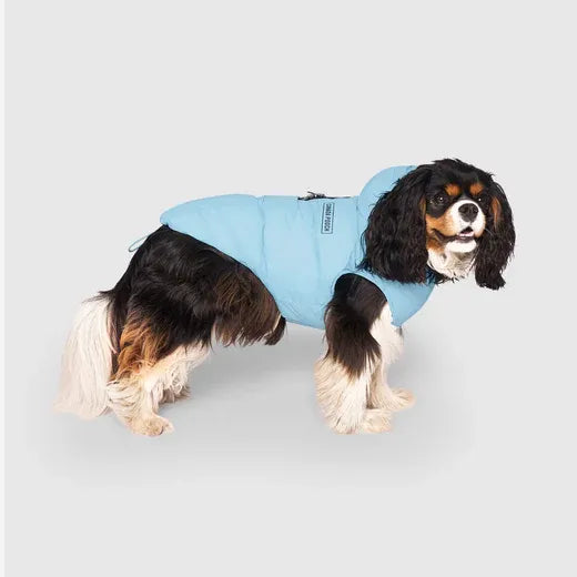 Canada Pooch The Waterproof Puffer Ice Blue Size 10