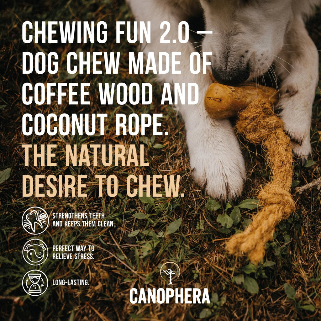 Canophera Coffee Wood With Coconut Rope Dog Chew Large