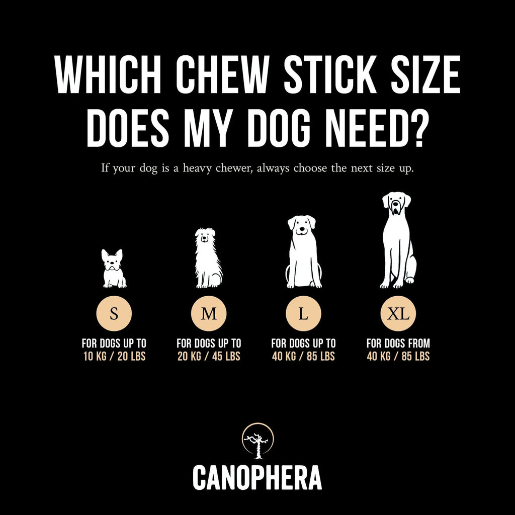 Canophera Coffee Wood With Coconut Rope Dog Chew Large
