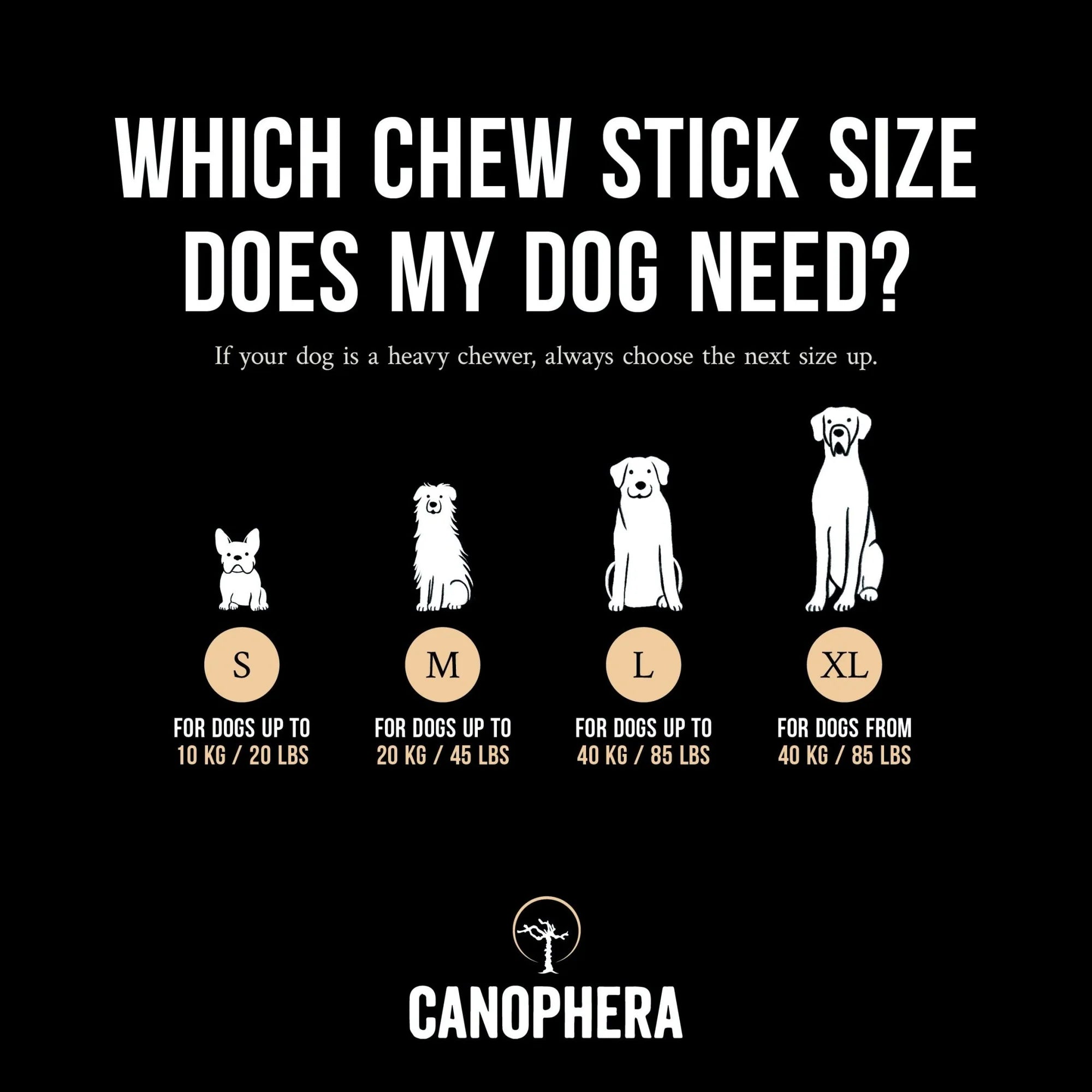 Canophera Coffee Wood With Coconut Rope Dog Chew Large