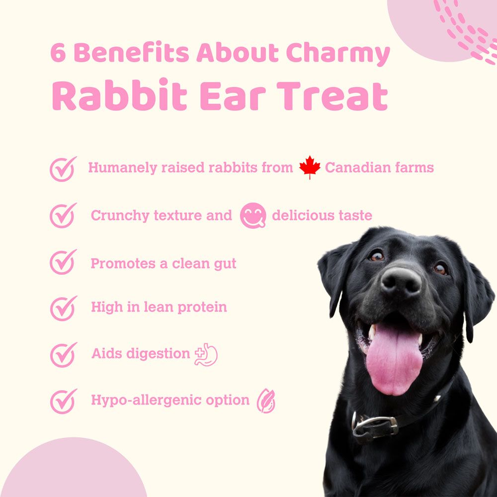 Charmy Pet Rabbit Ear 35G